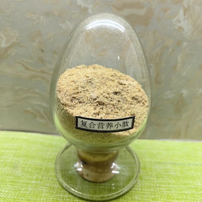 Composé Peptides à base de plantes Additifs alimentaires Solubles dans l'eau Anti-inflammatoires 0