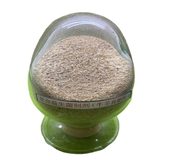 acide acétique de guanidine prébiotiques probiotiques en poudre mélange probiotiques vivants efficaces 2 milliards pour les ruminants 0