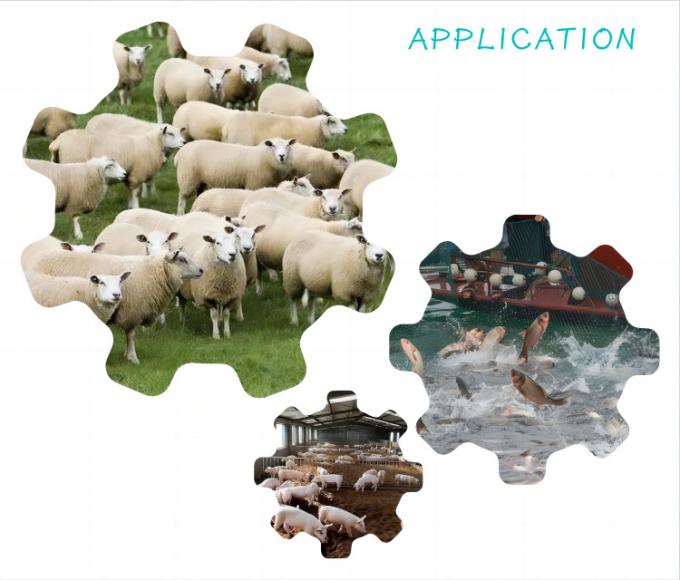 Additif alimentaire au nano-sélénium de levure 2000mg/kg pour le bétail et la volaille 1