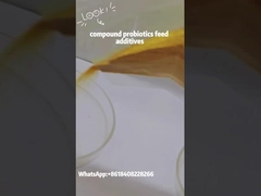 Additif alimentaire complexe Probiotiques Bacillus Subtilis Préparation microbienne composée