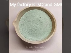 ZQ Chengdu Chelation Minéraux organiques et produits protéiques