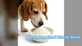 Adult Dog Feed Premix for Muscle Growth and Coat Shine