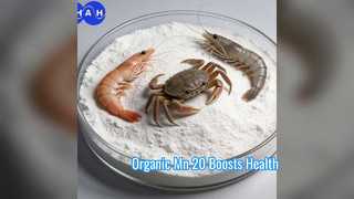 Boost Animal Health Additif alimentaire biologique Mn 20