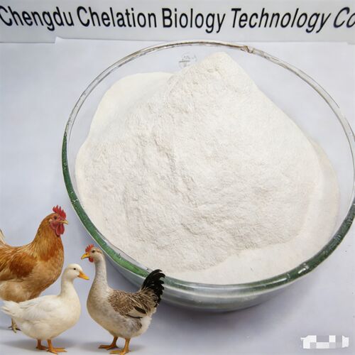 Latest company news about Fer chélaté de protéines biologiques 20 % | Additif alimentaire pour volaille à haute efficacité