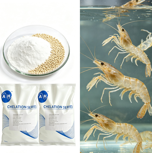 Latest company news about Gestion des besoins en oligo-éléments dans les aliments aquacoles avec des sources de magnésium organique